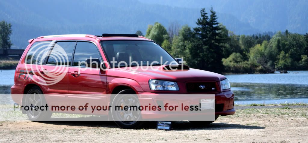 redforester2.jpg
