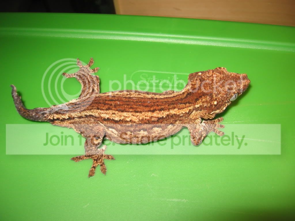garg001.jpg