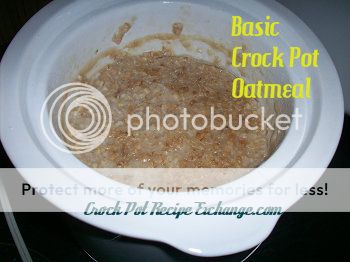 basiccrockpotoatmeal01final