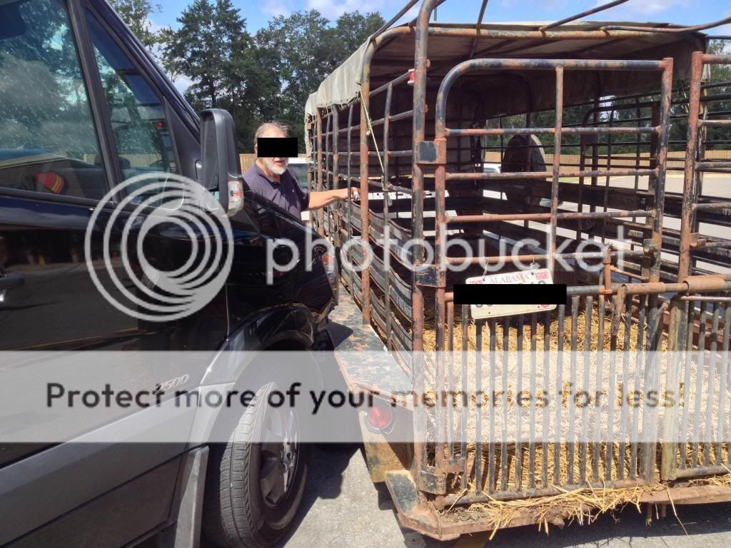 Details obscured to protect the identity of the jackass who hit us.