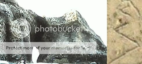 Screenshot_2014-02-23-03-38-14_1_zpsfab8