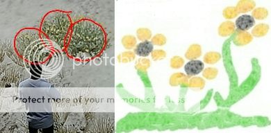 Screenshot_2014-02-23-03-38-25_2_zps0bbf