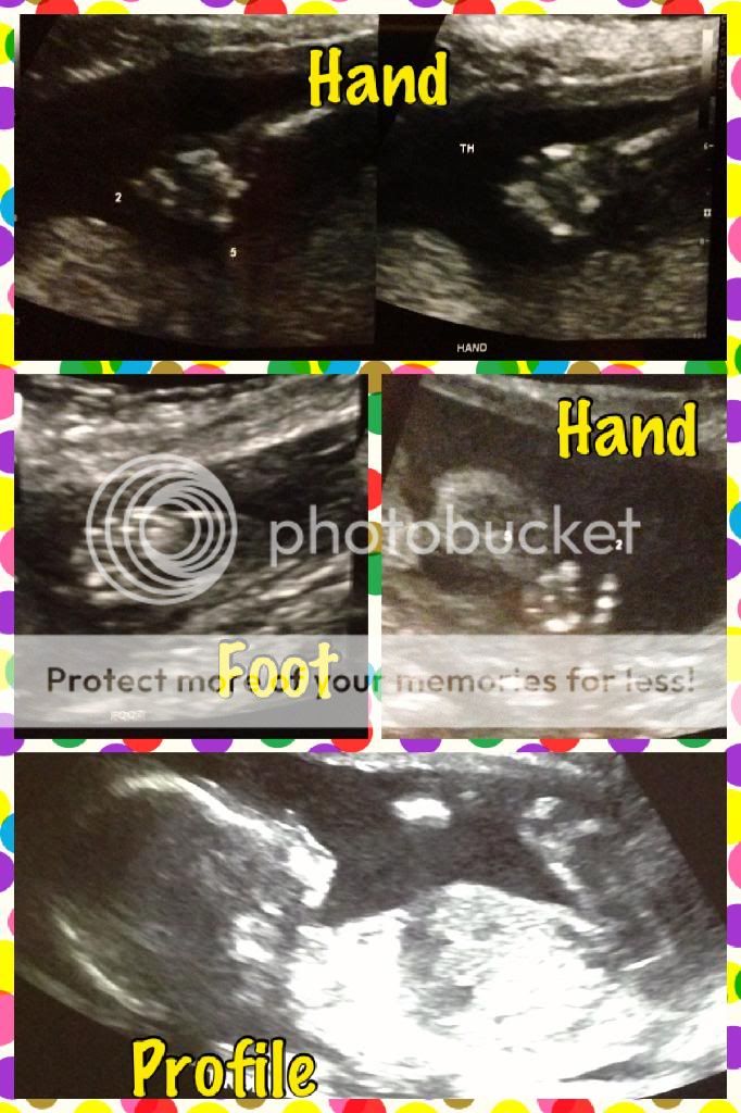 photo 569F5EC2-1540-4724-B2EC-853798C48C48_zpsbwhsitvg.jpg