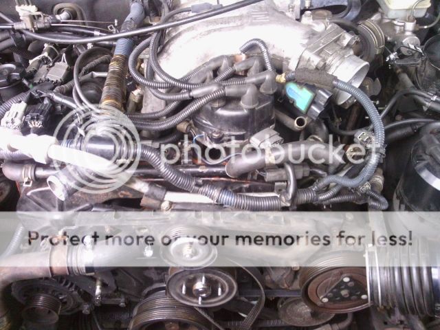 3240069e-6822-48f2-8361-97cb93f0a55c_zps