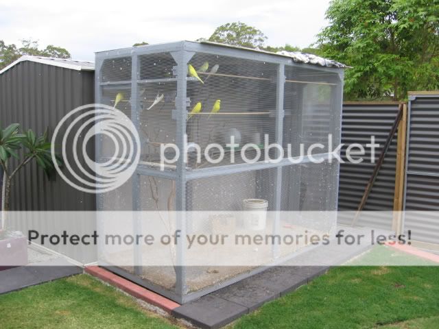 IMG_0934.jpg?t=1261462268